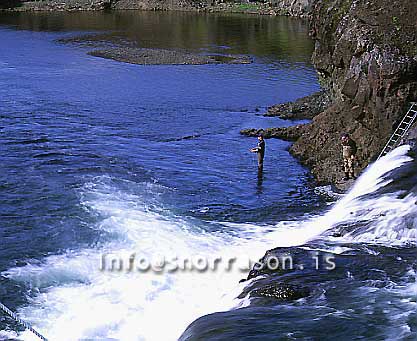 hs010929-01.jpg
angling in  Grímsá in Borgarfjordur