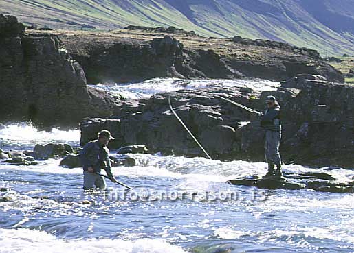 hs008850-01.jpg
Salmon fishing in Laxá in Kjos