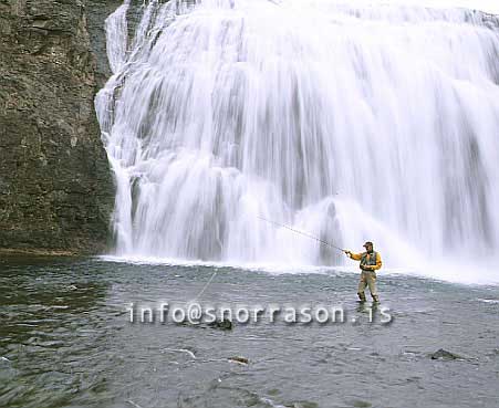 hs008821-01.jpg
Þórufoss í Laxá í Kjós
salmon fishing in Laxá in Kjos, Thorufoss waterfall