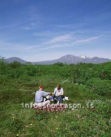 hs005422-01.jpg
Lunch, at Thingvellir