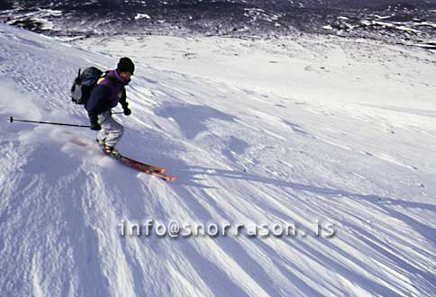 hs003894-01.jpg
Fjallaskíðagöngumenn á Heklu
hikers skiing and walking on Mt. Hekla