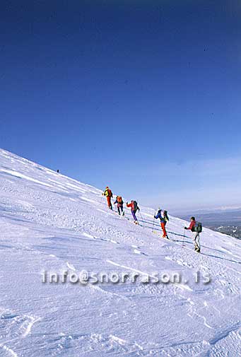 hs003863-01.jpg
Fjallaskíðafólk á Heklu.
mountainskiiers on Mt. Hekla.