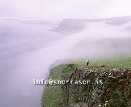 hs001294-01.jpg
Á Hornbjargi á Hornströndum
from Hornbjarg W - Iceland