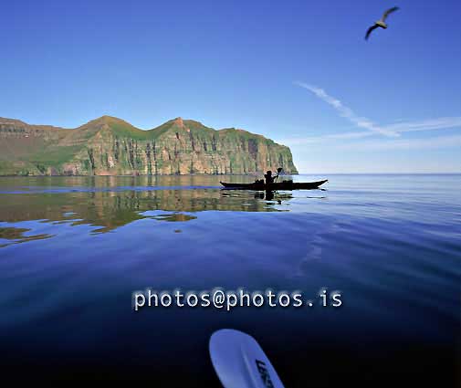 15349-kayaking in westfjords.jpg