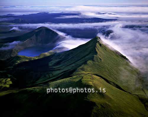 Interior landscape.jpg