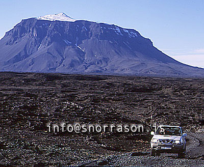 hs011543-01.jpg
Herðubreið, ( 1682m ), vegur í gegnum hraun