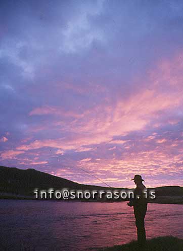 hs001183-01.jpg
midnight fishing, Sogið