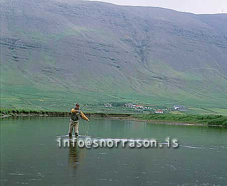 hs008835-01.jpg
Laxá í Kjós, Laxá in Kjos, west Iceland