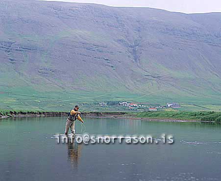 hs008833-01.jpg
Laxá Í Kjós, Laxá in Kjós,  west Iceland