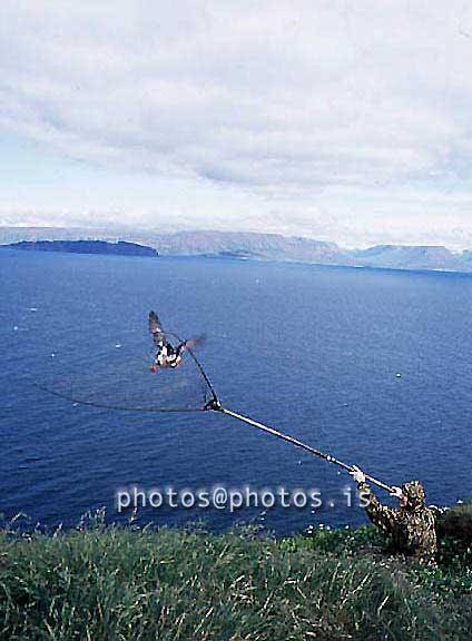 hs016840-01.jpg
Maður og Lundi, Lundaveiði í Drangey, Puffin hunting in Drangey