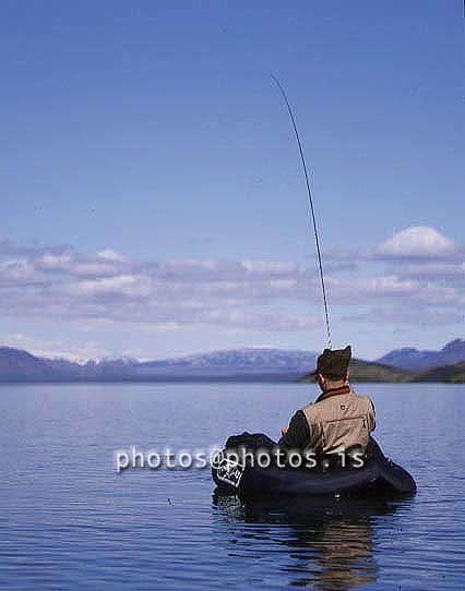 hs015654-01.jpg
bleikjuveiði í Þingvallavatni, trout fishing in Thingvallavatn lake